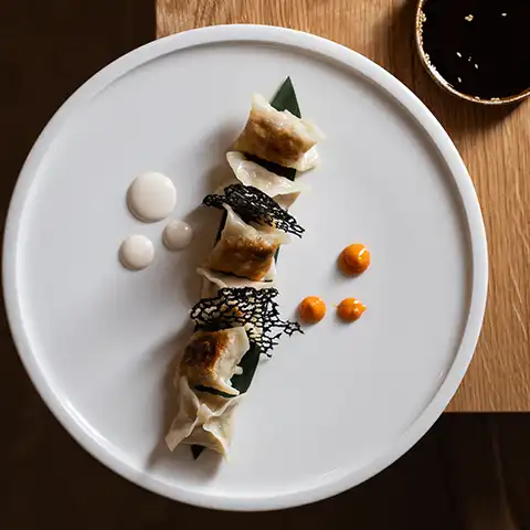 GYOZA Restauracja Domo